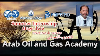 Hydraulic Fracturing Design Software “FracPro and GOHFER”, Eng. Mohamed Gabry