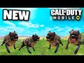 *NEW* K9 UNIT is ACTUALLY GOOD in BATTLE ROYALE! | COD MOBILE | SOLO VS SQUADS