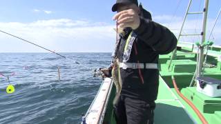 【釣り百景】#084 豊かな海に感謝！　仙台湾にカレイを求めて