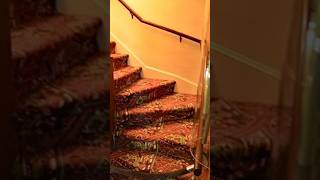 Fun Fact: Graceland’s Kitchen Stairs #elvis #elvispresley #graceland #secretgraceland