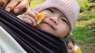 Linh,Bim,Bon and Bo went to harvest oranges to sell Tung was invited to drink alcohol by his friends