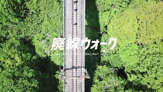 【2020年 新緑】碓氷峠廃線ウォーク【大谷ノブ彦 金曜ダイジョーブ！ふるさとからの手紙】