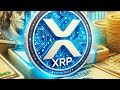 XRP RIPPLE NEW XRP RICH LIST !!!!