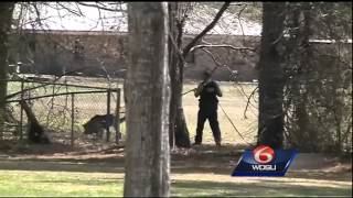 Work release escapee sought on Northshore