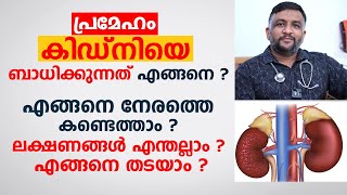 കിഡ്‌നി രോഗം എങ്ങനെ നേരത്തെ തിരിച്ചറിയാം ലക്ഷണങ്ങൾ എന്തൊക്കെ | Dr. Shamnad