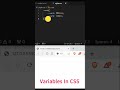 Variables in CSS | Codekenya