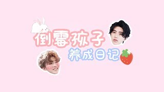 【Cai Xukun/KUN/蔡徐坤】大奎VS小葵-《倒霉孩子养成日记》