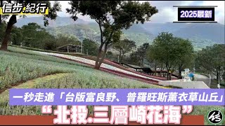 2025北投三層崎花海 | 台版富良野 | 普羅旺斯薰衣草山丘 | 走落羽松小徑前往北投三層崎花海 |