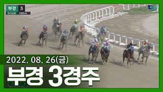 (부산)'22.8.26.3R 3세 포입마 금아패셔너트, 뚝심 있게 2전 2승!