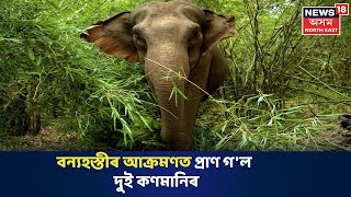 Goalparaত বন্যহস্তীৰ আক্ৰমণত নিহত একেটা পৰিয়ালৰে দুই কণমানি, তলাবন্ধৰ বাবে Guwahatiত আৱদ্ধ পিতৃ