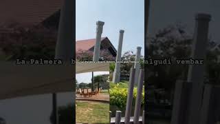 La Palmera Beach resort #shortsfeed #travel #tamil#tamilnadu #youtubeshorts #india