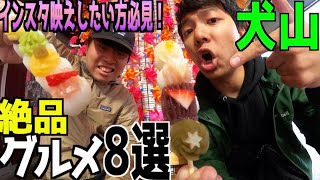 【Vlog】犬山城下町で食べ歩きするなら是非、食べて欲しい絶品グルメ8選