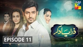 Zara Yaad Kar Episode 11 HUM TV Drama