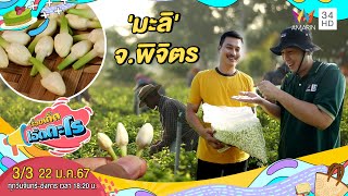 'มะลิ' ไร่มะลิพิจิตร จ.พิจิตร | เรื่องเด็ดเอ็ดตะโร | 22 ม.ค.67 (3/3)