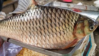 Big Size Puti Fish Cutting In Fish Market ||  জাপানি পুঁটি মাছ