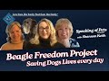 Freedom from Animal Testing; Beagle Freedom Project’s founder Shannon Keith | SOP ep. 12