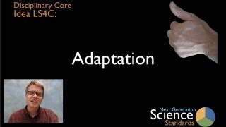 LS4C - Adaptation