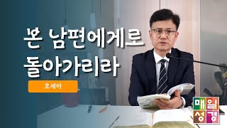 #매일성경  |  본 남편에게로 돌아가리라  |  호세아(Hosea)2:1 - 2:13  |  ft.김미영 집사