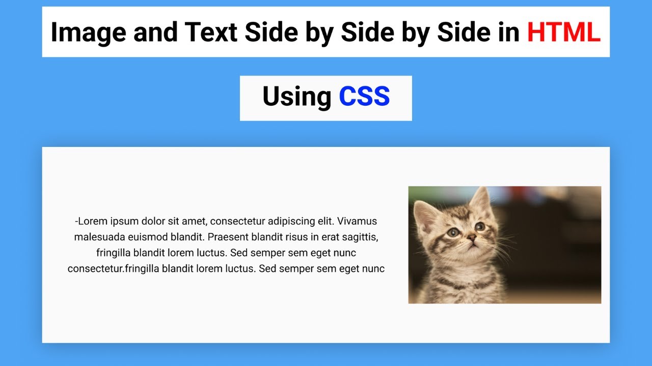 How To Align Image & Text Side By Side In HTML Using CSS - YouTube