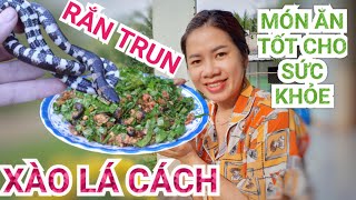 Rắn trun xào lá cách món ăn dân dã Miền Tây, vừa ngon vừa bổ dưỡng cho sức khỏe | Vietnamese Food