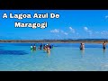 Maragogi Alagoas 04 De Agosto De 2023 Maré 0.0 Piscinas Naturais De Antunes