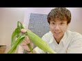 【夏 ダイエット】夏野菜でダイエット⭐︎カロリー高いし糖質量も多い『トウモロコシ』は太る！って本当なの？巷のチープな情報に惑わされていませんか？あんなに美味しいトウモロコシを我慢するなんてあり得ない！