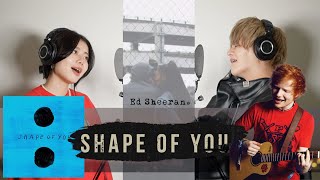 【THE FIRST TAKE】Ed Sheeran- Shape of You🎵(English Cover)
