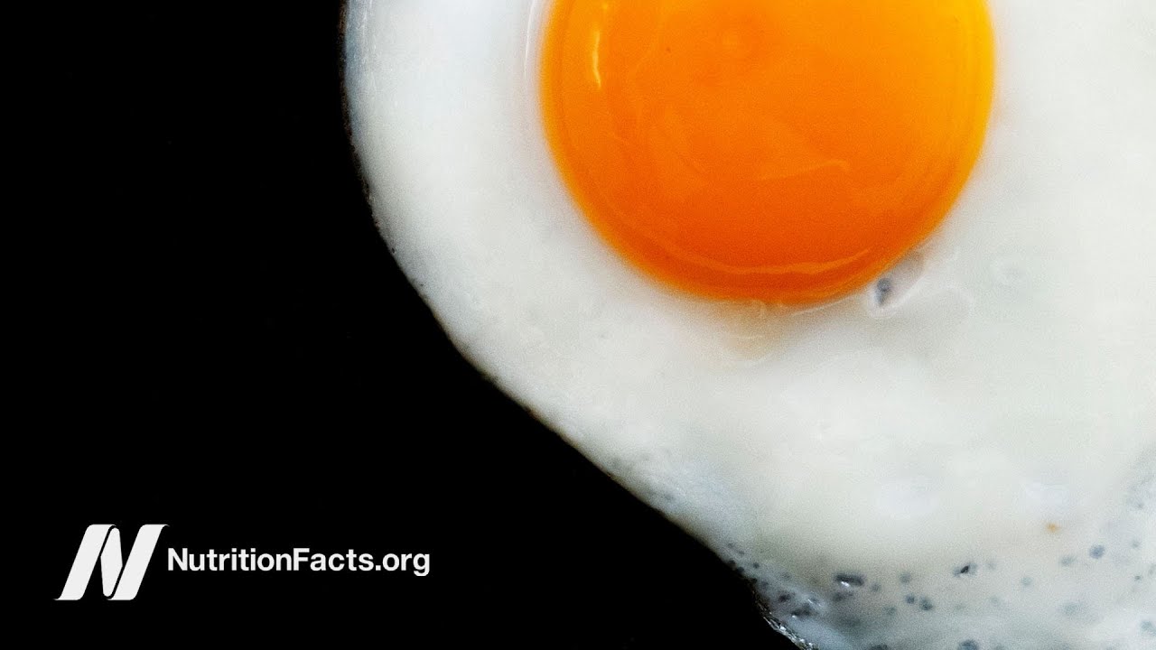 Does Dietary Cholesterol From Eggs Raise Blood Cholesterol Youtube