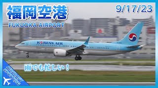 【福岡空港】雨の福岡，RWY16の離着陸シーンを撮影！| Aircraft Spotting at Fukuoka Airport (9/17/2023)