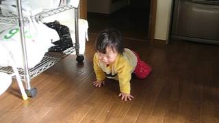 ダウン症優1歳 ハイハイ