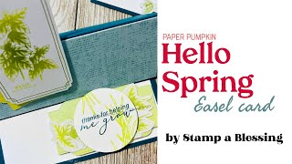 Hello Spring  Paper Pumpkin Easel Card