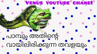 കാലമാകുന്ന പാമ്പിന്റെ വായിൽ അകപ്പെട്ട നമ്മൾ@VENUSYOUTUBECHANEL @YouTube @viraldeepweb #trending 👍🏻💫