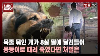 묶여있던 개가 8살 딸에 달려들어... 개를 죽여버린 아빠는 처벌받을까 / 법률방송뉴스