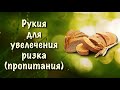 Рукия для увеличения пропитания ризк