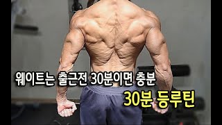 직장인평생몸짱? 꾸준히 출근전 30분이면 충분합니다. 등운동루틴, 그리고 등운동법꿀팁