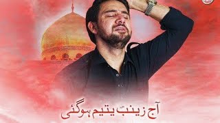 Farhan Ali Waris Nohay | Slowed+Reverb  | Aaj Zainab Yateem Ho Gai | 21 Ramadan Shahadat Mola Ali