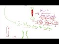 Osteopetrosis I Rashid Abu Helwa I Pathology Made Easy