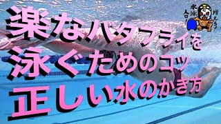 #387　楽なバタフライを泳ぐためのコツ　正しい水のかき方【水泳】