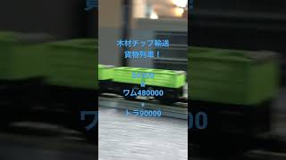 [Nゲージ] 木材チップ輸送貨物列車をKATOの製品で再現！ DF200牽引にてワム480000とトラ90000を走行させました。