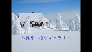 岩手八幡平　樹氷美術館