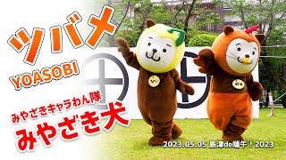 【みやざき犬】ツバメ / YOASOBI をダンス！：2023.05.05 島津de端午！2023