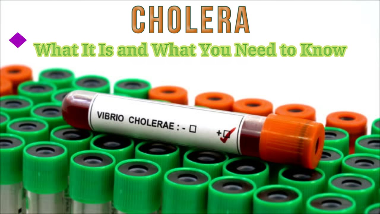 Cholera: What It Is And What You Need To Know - YouTube