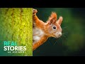 Primavera En Flor: El Poder De La Naturaleza | Real Stories En Español