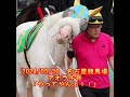 やる気満々1 アオラキ 号 ゴールドシップ産駒 白毛 名古屋競馬場 競馬 金シャチ競馬 shorts