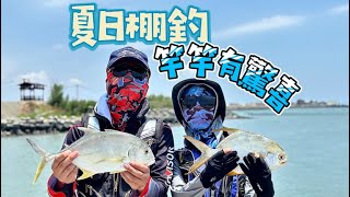 【連の蚵棚日常】EP16 金湖蚵棚｜夏日新魚種｜竿竿都是驚喜