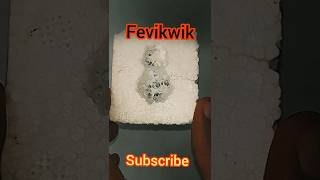 Thermocol vs Fevikwik reaction||easy science experiments|at home #experiment #science #shorts #short