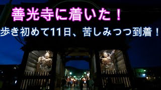 善光寺街道　歩き旅　約300km　11日目③善光寺到着