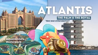 Atlantis The Palm и The Royal: Чем они отличаются?