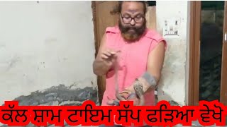 ਕੱਲ ਸ਼ਾਮ ਟਾਇਮ ਸੱਪ ਫੜਿਆ ਵੇਖੋ#snake #naagk22#snackcares4u#animals #snake #punjab #youtube #funny