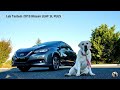 2019 Nissan LEAF SL Plus: Andie the Lab Review!